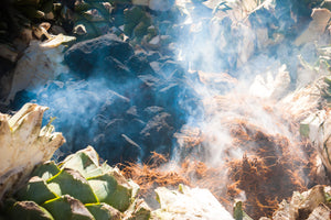 Process of smoking agave