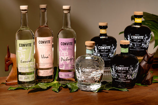 The full collection of Convite Mezcal: 3 tall slender bottles and 4 bottles of wild agave Mezcal.